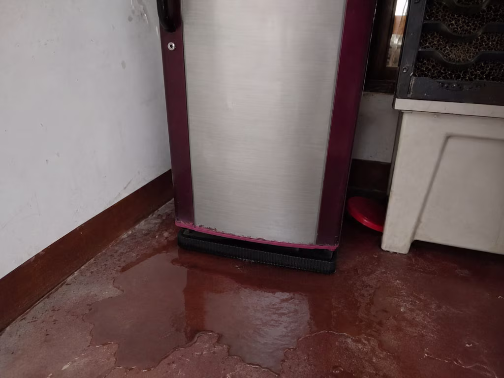 Common causes of refrigerator leaking water